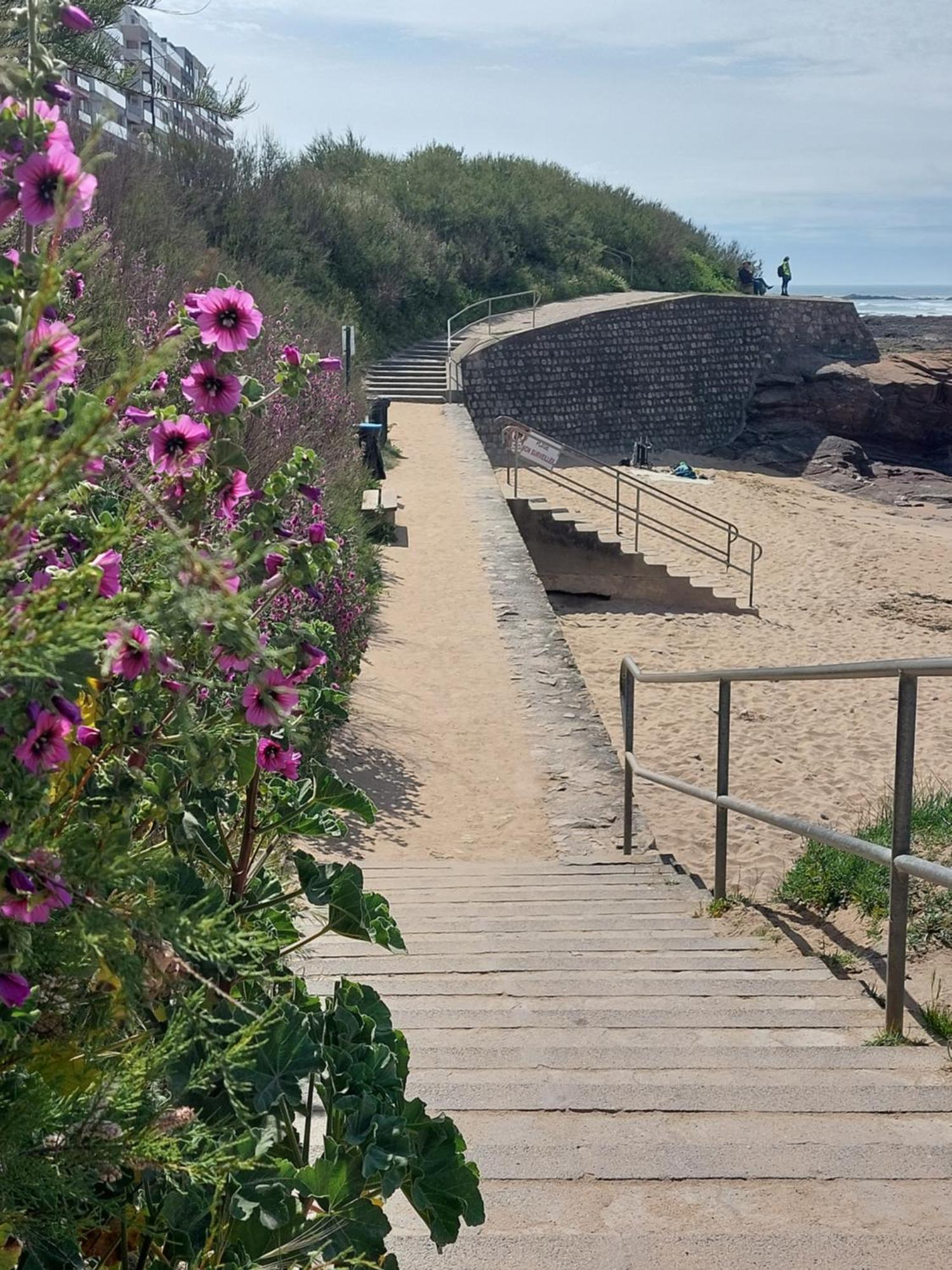 Studio La Salicorne Au Sables D'Olonne 莱萨布勒-多洛讷 外观 照片